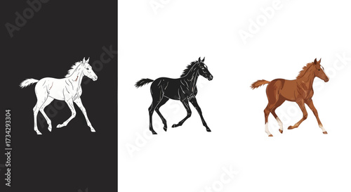 Trotting Foal Vector Illustration Set with Silhouette and Realistic Brown Horse Styles