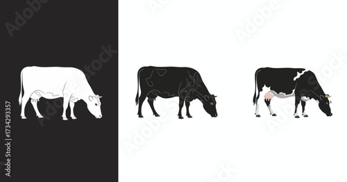 Grazing Cow Vector Illustration Set with Stylized Black and White Farm Animal Graphics