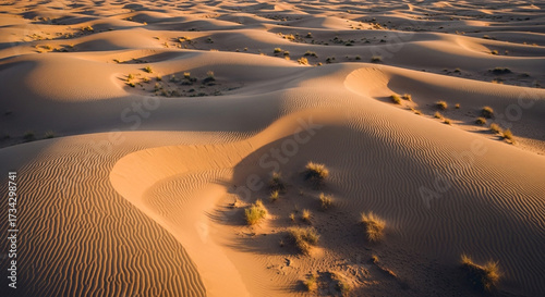 Stunning golden hour light illuminates vast desert sand dunes with rippling textures and sparse desert grass, creating a serene and breathtaking natural landscape.