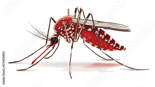 Detailed Vector Illustration of Mosquito Sucking