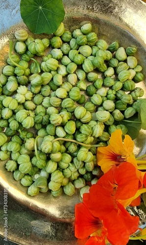 Foto green capers from nasturtiumin a bowl
