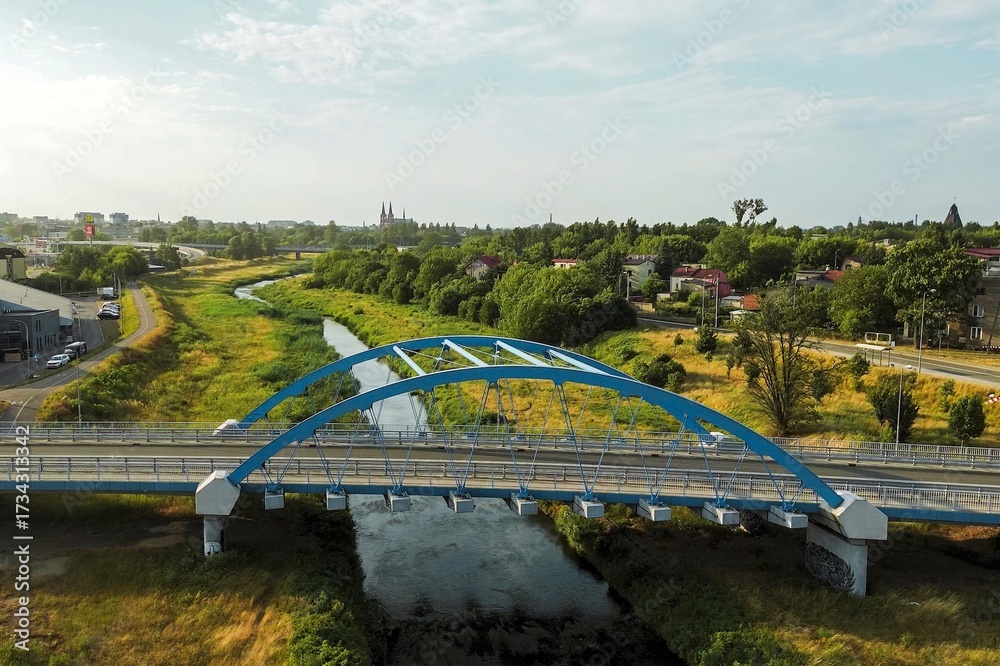 Fototapeta premium Modern arched bridge over green landscape