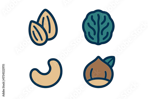 Colorful assortment of delicious and healthy nuts including almonds, cashews, walnuts, and hazelnuts