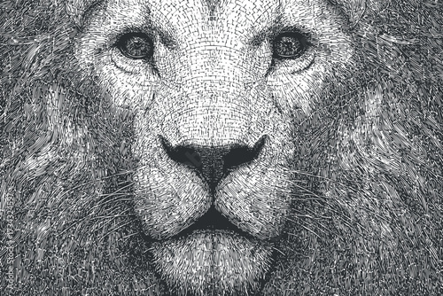 A detailed black and white illustration of a lion's face showcasing its majestic features..