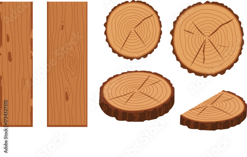 Vector Wood Planks Texture Slices Pattern Set Rustic Woodgrain Timber Log Wooden Rings Lumber Woodwork Plank Natural