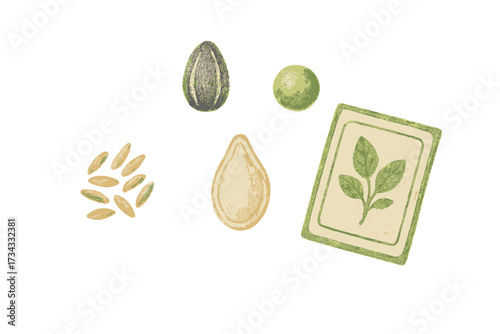 Collection of organic garden seeds including sunflower, pumpkin, pea, and rice, with a stylized seed packet for planting and agriculture