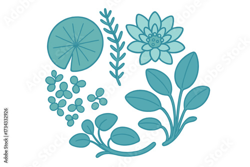 Stylized collection of aquatic plants and water lily elements for freshwater nature designs and pond ecosystems