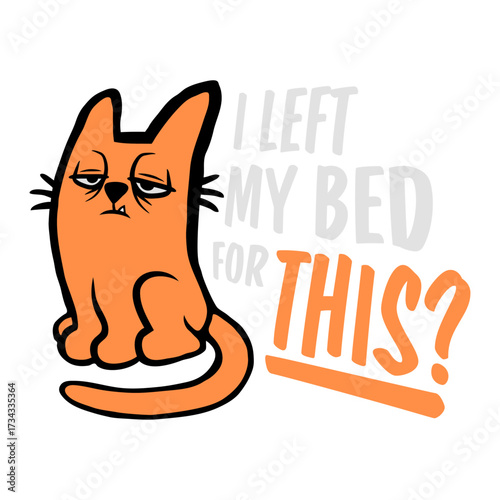 Cat I Left My Bed For This? Disappointed Pet