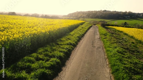 Track road through rapeseed fields in British countryside drone aerial 