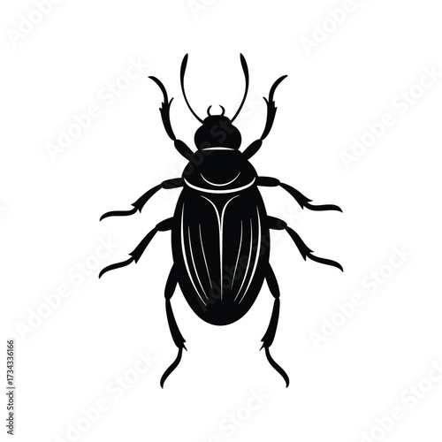 Black Beetle Silhouette Insect Vector Illustration Isolated