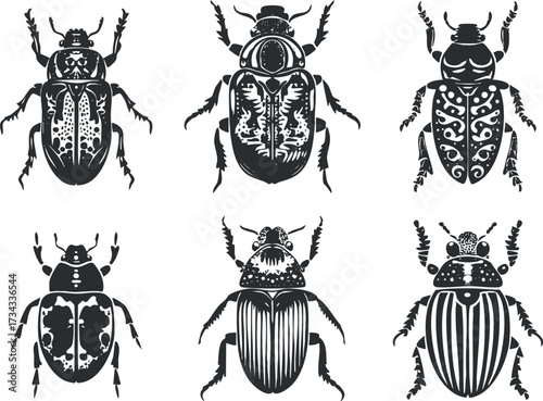 A collection of artistic black and white beetle illustrations showcasing intricate patterns and designs..