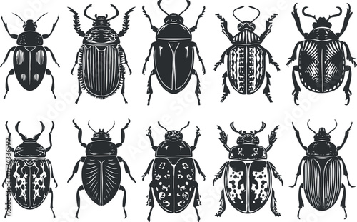 Detailed black and white illustration of various beetles showcasing their unique patterns and shapes..