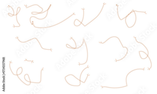 Set of Decorative Rope Line Elements Isolated on White Background Vector