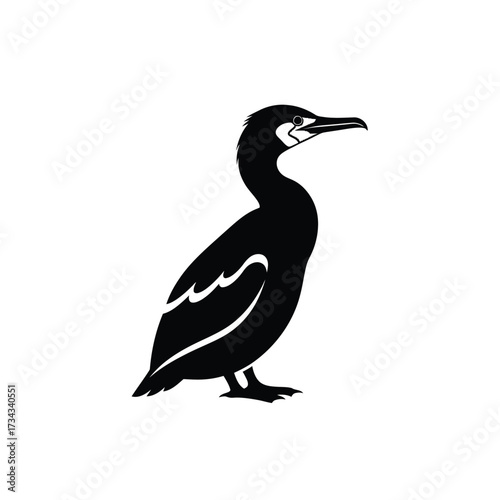 Black silhouette of a seabird with a long beak standing on its feet isolated on white background silhouette