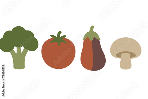 Assortment of fresh healthy vegetables including broccoli, tomato, eggplant, and mushroom for cooking and diet