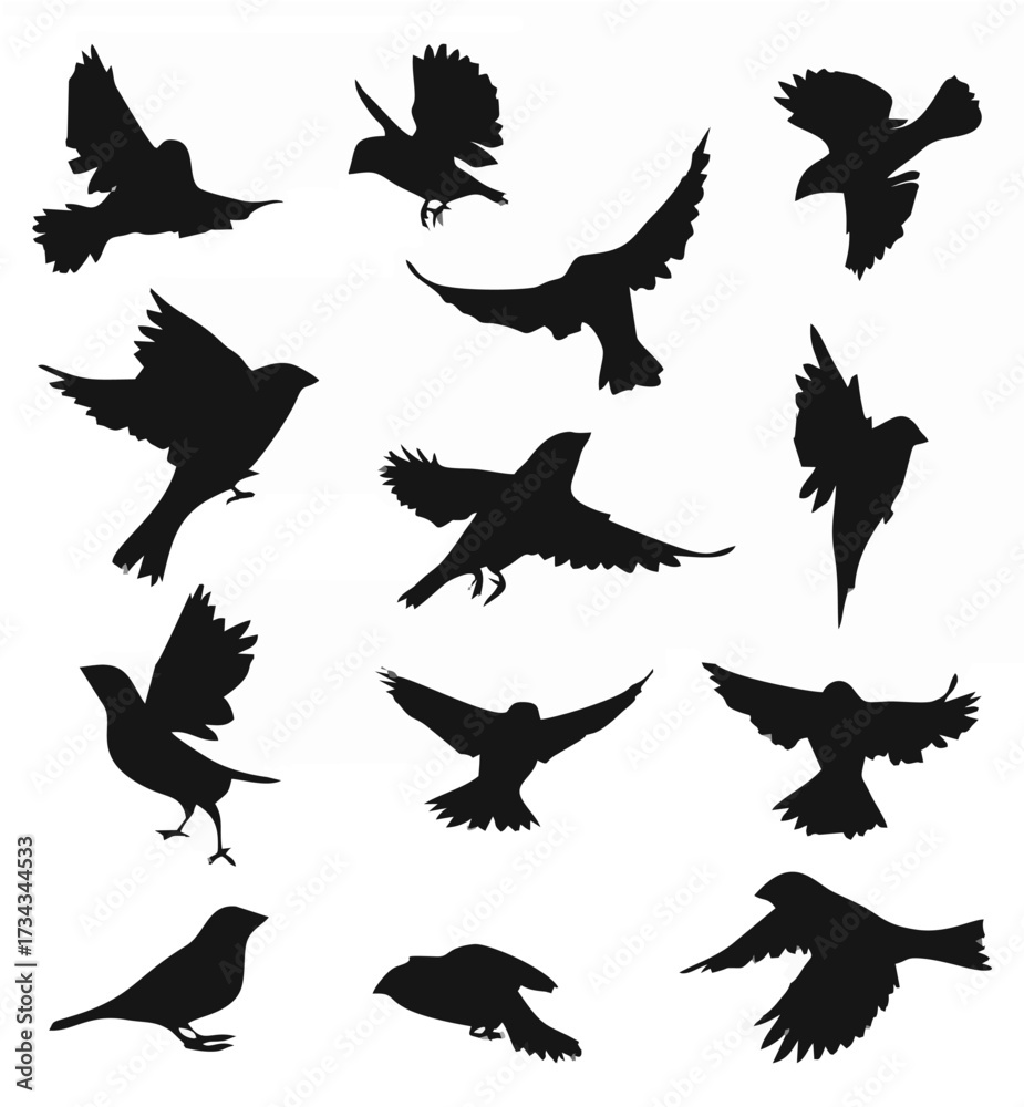 Obraz premium Set of sparrow silhouettes1.eps