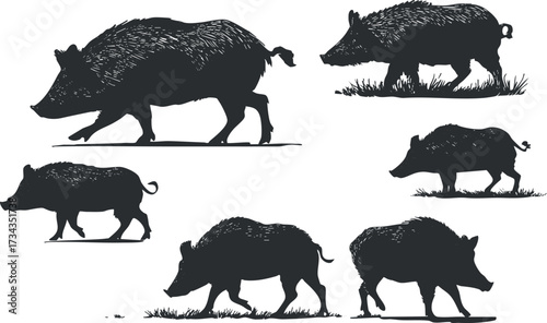Silhouettes of wild boars in various poses illustrating movement and nature in a forest setting..