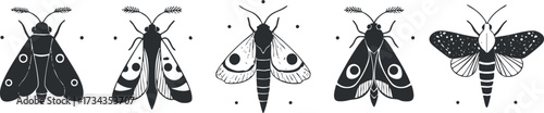 A collection of black and white illustrations featuring various moths and butterflies..