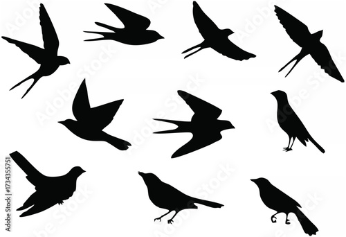 Birds pattern.eps