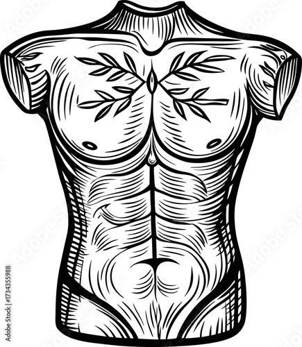 Classical male torso sculpture, muscular anatomy illustration ancient art, antique statue fragment, black and white engraving