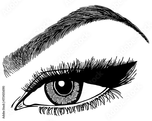 Illustration with woman's eye, eyelashes and eyebrow. Makeup Look. Tattoo design. Logo for brow bar or lash salon.