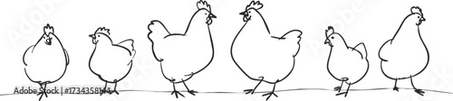 A playful line drawing of six chickens walking in a row, showcasing farm life and rural charm..