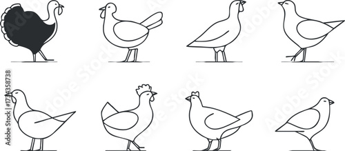 A collection of simple line art illustrations featuring various birds including chickens and roosters..