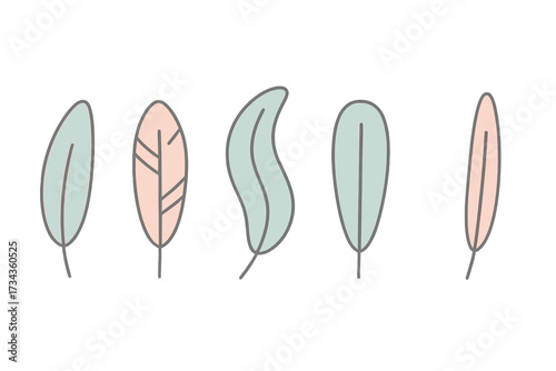 Five stylized pastel feathers with clean outlines in a modern minimalist design for decorative and graphic elements