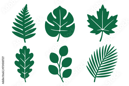 Vibrant collection of diverse green botanical leaves representing various plant species and natural foliage elements