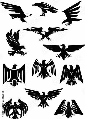 Eagle or falcon, aquila or ha...