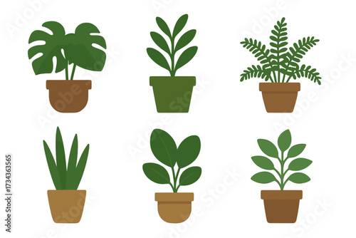 Assortment of popular green potted houseplants including monstera, fern, and aloe vera for home and office decoration