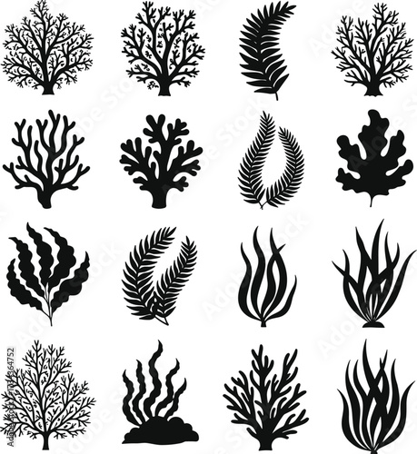 Seaweed silhouette set, underwater plants, marine flora, black and white vector, ocean vegetation, botanical illustration, aquatic nature icons