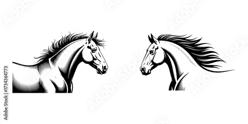 A pair of beautiful horse head portraits in a black and white sketch style. Elegant equine profile design element for a logo or emblem. Majestic stallion with a flowing mane.