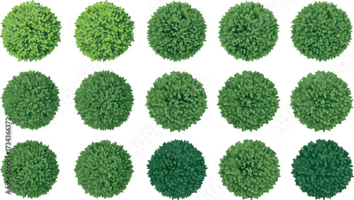 Bush top view, green foliage, stylized vegetation, spherical canopy, nature texture, landscape design, vector shrub, garden layout, digital illustration, plant icon