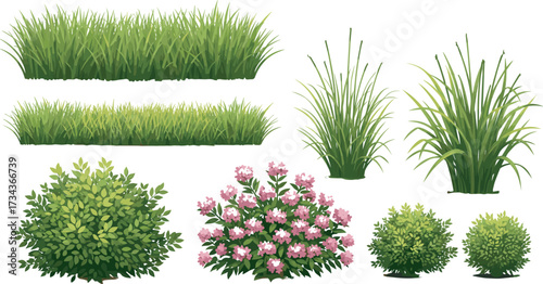 Grass and bush top view, foliage texture, flowering shrub, garden layout, landscape design, nature elements, vector vegetation, digital plant illustration, greenery