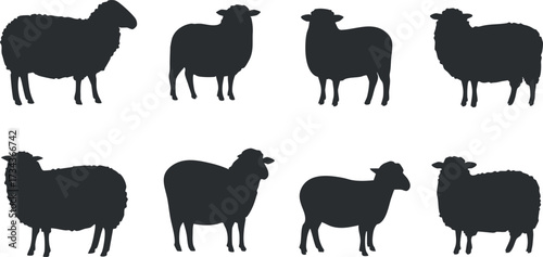 Collection of sheep silhouettes showcasing various poses and shapes suitable for agricultural themes..