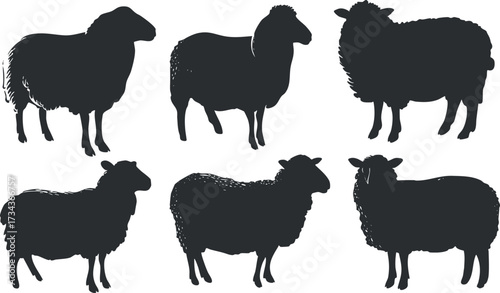 A collection of sheep silhouettes showcasing different breeds and poses for design and illustration..