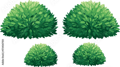 Green bush top view, foliage texture, rounded shrub, landscape design, garden planning, nature element, vector vegetation, stylized plant, digital illustration, greenery