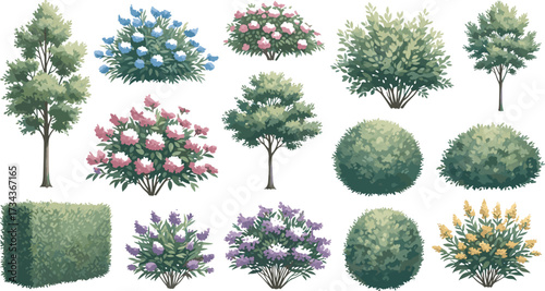 Stylized plant top view, flowering bushes, digital foliage, garden layout, tree and shrub illustration, landscape design, botanical elements, nature symbols, vector vegetation