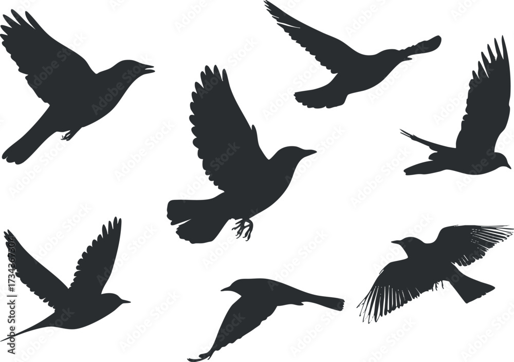 Fototapeta premium Silhouettes of various birds in flight showcasing movement and freedom in nature..