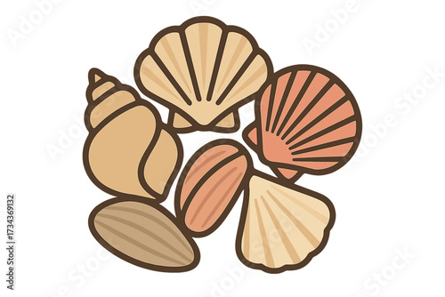 Beautiful collection of diverse marine seashells and spiral conch shells in natural colors, arranged together on a clean white background