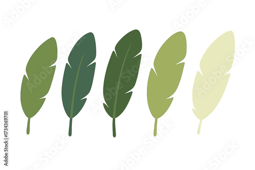Assortment of stylized green tropical leaves showcasing a range of natural hues on a clean white background