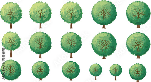 Tree top view, green canopy, stylized foliage, growth stages, nature texture, vector trees, landscape design, garden planning, digital illustration, botanical layout