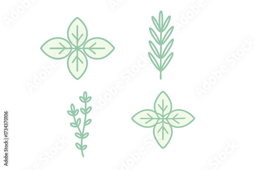 Stylized set of fresh green culinary herb leaves and aromatic spice plant elements for cooking and seasoning food