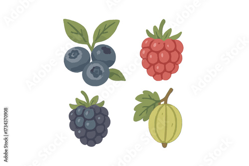 A vibrant collection of fresh organic blueberries, raspberries, blackberries, and gooseberries with natural green leaves