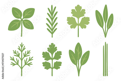 Organic fresh green culinary herbs and spices, essential ingredients for cooking, seasoning, and healthy food preparation, vibrant and aromatic