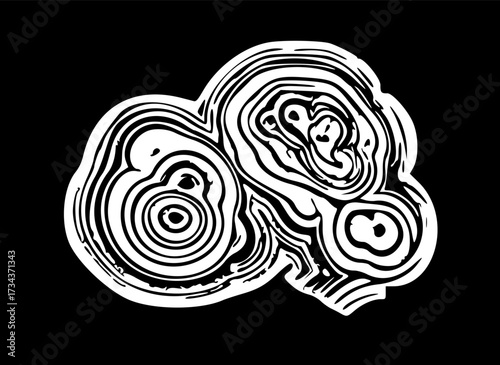 Abstract Black and White Geode Slice Illustration Showing Concentric Circular Layers