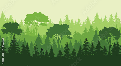 A serene forest landscape with varying shades of green trees.