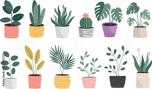 Hand drawn indoor houseplants in colorful pots, botanical clipart, potted plant collection, modern home decor, flat vector illustration