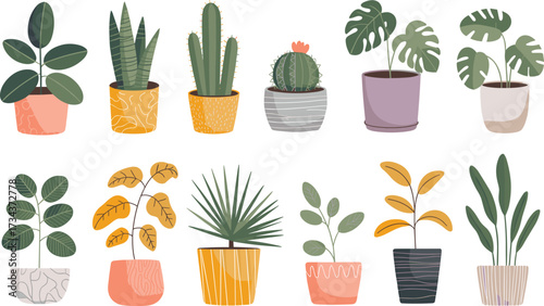 Hand drawn indoor houseplants in colorful pots, botanical clipart, potted plant collection, modern home decor, flat vector illustration